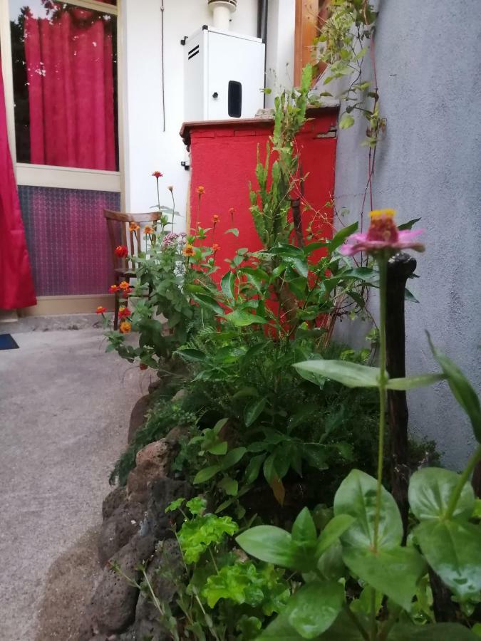B&B Daddanca Ales Kültér fotó